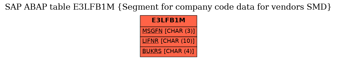 E-R Diagram for table E3LFB1M (Segment for company code data for vendors SMD)