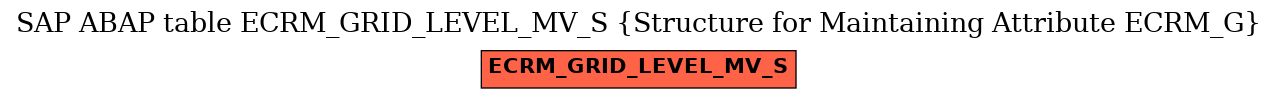 E-R Diagram for table ECRM_GRID_LEVEL_MV_S (Structure for Maintaining Attribute ECRM_G)