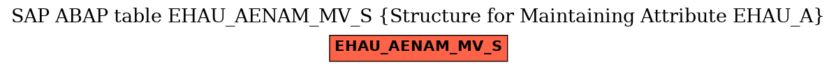 E-R Diagram for table EHAU_AENAM_MV_S (Structure for Maintaining Attribute EHAU_A)