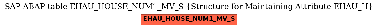 E-R Diagram for table EHAU_HOUSE_NUM1_MV_S (Structure for Maintaining Attribute EHAU_H)