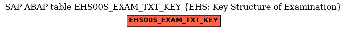 E-R Diagram for table EHS00S_EXAM_TXT_KEY (EHS: Key Structure of Examination)