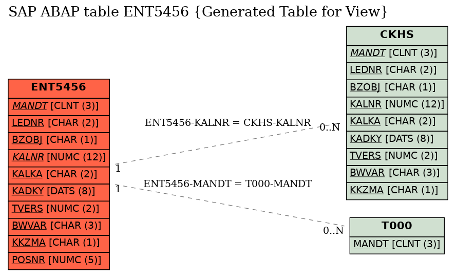 E-R Diagram for table ENT5456 (Generated Table for View)