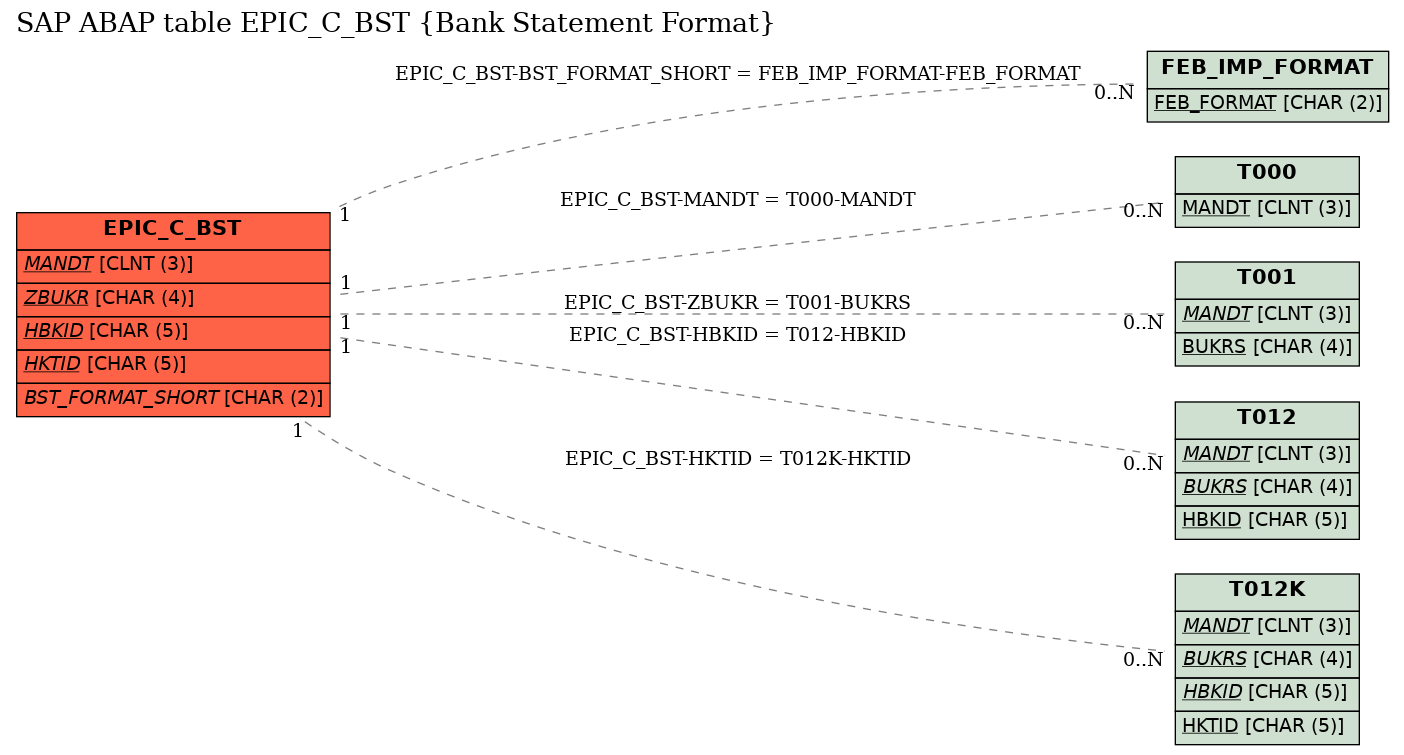 E-R Diagram for table EPIC_C_BST (Bank Statement Format)