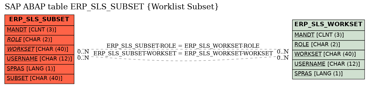 E-R Diagram for table ERP_SLS_SUBSET (Worklist Subset)