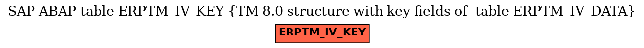 E-R Diagram for table ERPTM_IV_KEY (TM 8.0 structure with key fields of  table ERPTM_IV_DATA)