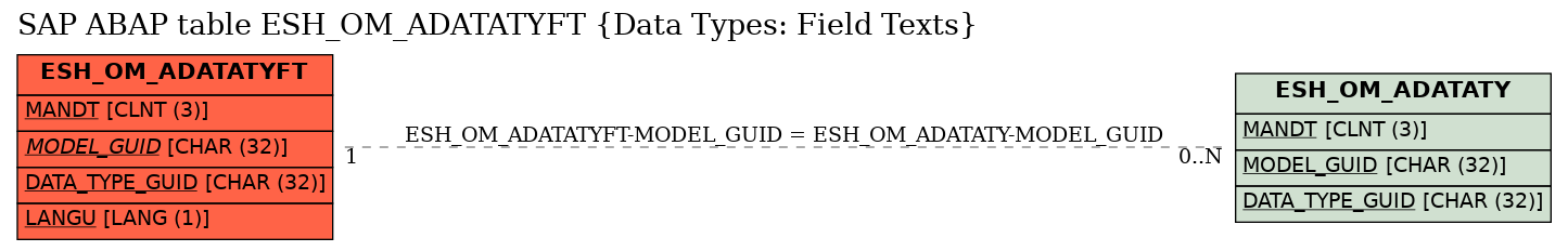 E-R Diagram for table ESH_OM_ADATATYFT (Data Types: Field Texts)