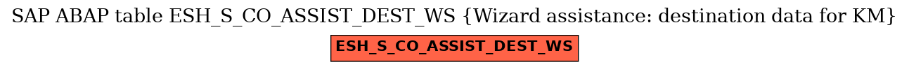 E-R Diagram for table ESH_S_CO_ASSIST_DEST_WS (Wizard assistance: destination data for KM)