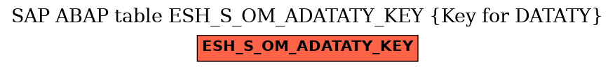 E-R Diagram for table ESH_S_OM_ADATATY_KEY (Key for DATATY)