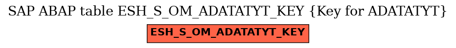 E-R Diagram for table ESH_S_OM_ADATATYT_KEY (Key for ADATATYT)