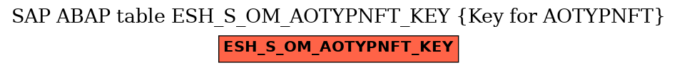 E-R Diagram for table ESH_S_OM_AOTYPNFT_KEY (Key for AOTYPNFT)