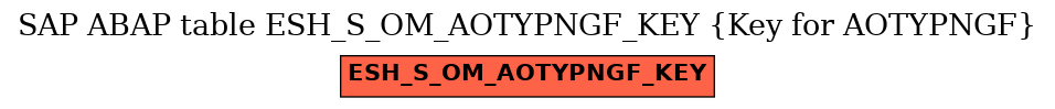 E-R Diagram for table ESH_S_OM_AOTYPNGF_KEY (Key for AOTYPNGF)