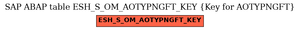 E-R Diagram for table ESH_S_OM_AOTYPNGFT_KEY (Key for AOTYPNGFT)