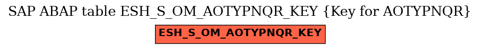 E-R Diagram for table ESH_S_OM_AOTYPNQR_KEY (Key for AOTYPNQR)