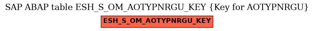 E-R Diagram for table ESH_S_OM_AOTYPNRGU_KEY (Key for AOTYPNRGU)