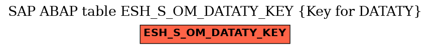 E-R Diagram for table ESH_S_OM_DATATY_KEY (Key for DATATY)