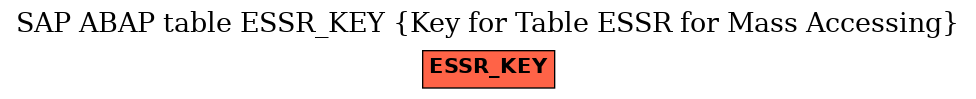 E-R Diagram for table ESSR_KEY (Key for Table ESSR for Mass Accessing)