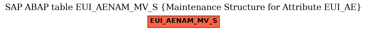 E-R Diagram for table EUI_AENAM_MV_S (Maintenance Structure for Attribute EUI_AE)