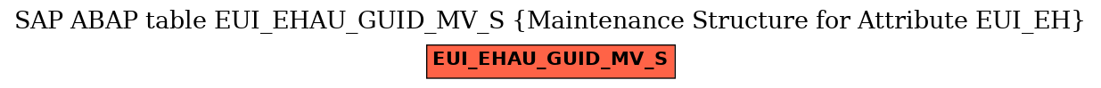 E-R Diagram for table EUI_EHAU_GUID_MV_S (Maintenance Structure for Attribute EUI_EH)