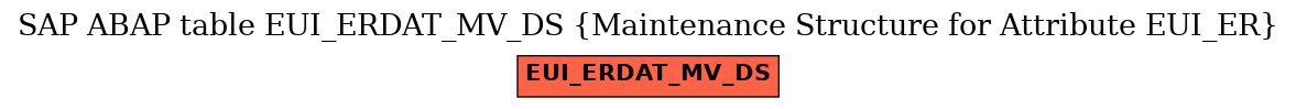 E-R Diagram for table EUI_ERDAT_MV_DS (Maintenance Structure for Attribute EUI_ER)