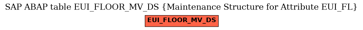 E-R Diagram for table EUI_FLOOR_MV_DS (Maintenance Structure for Attribute EUI_FL)