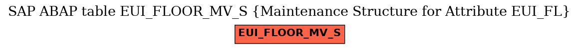 E-R Diagram for table EUI_FLOOR_MV_S (Maintenance Structure for Attribute EUI_FL)