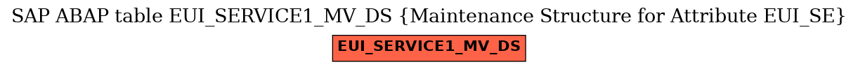 E-R Diagram for table EUI_SERVICE1_MV_DS (Maintenance Structure for Attribute EUI_SE)