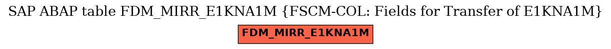 E-R Diagram for table FDM_MIRR_E1KNA1M (FSCM-COL: Fields for Transfer of E1KNA1M)