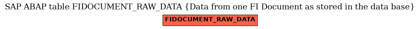 E-R Diagram for table FIDOCUMENT_RAW_DATA (Data from one FI Document as stored in the data base)