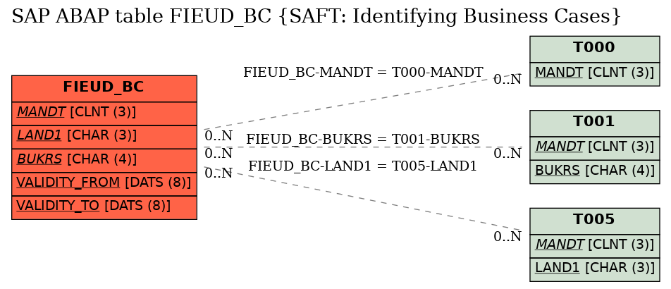 E-R Diagram for table FIEUD_BC (SAFT: Identifying Business Cases)