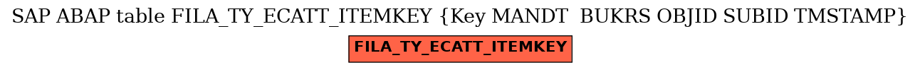 E-R Diagram for table FILA_TY_ECATT_ITEMKEY (Key MANDT  BUKRS OBJID SUBID TMSTAMP)