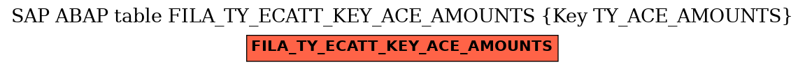 E-R Diagram for table FILA_TY_ECATT_KEY_ACE_AMOUNTS (Key TY_ACE_AMOUNTS)