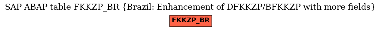 E-R Diagram for table FKKZP_BR (Brazil: Enhancement of DFKKZP/BFKKZP with more fields)