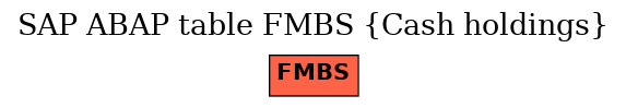 E-R Diagram for table FMBS (Cash holdings)