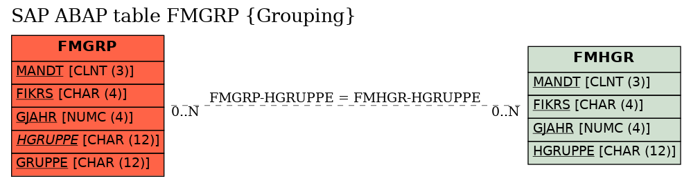 E-R Diagram for table FMGRP (Grouping)