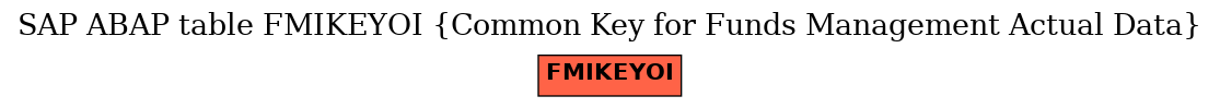 E-R Diagram for table FMIKEYOI (Common Key for Funds Management Actual Data)