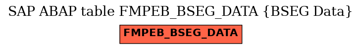 E-R Diagram for table FMPEB_BSEG_DATA (BSEG Data)