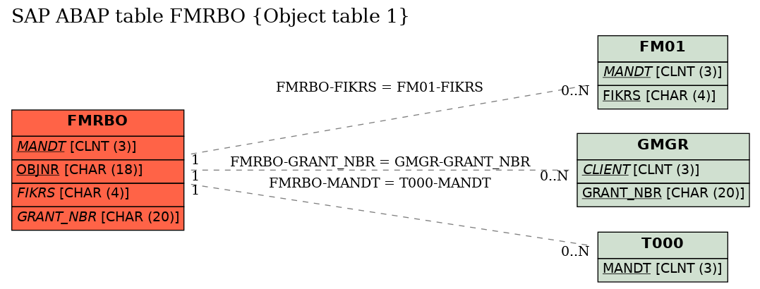 E-R Diagram for table FMRBO (Object table 1)