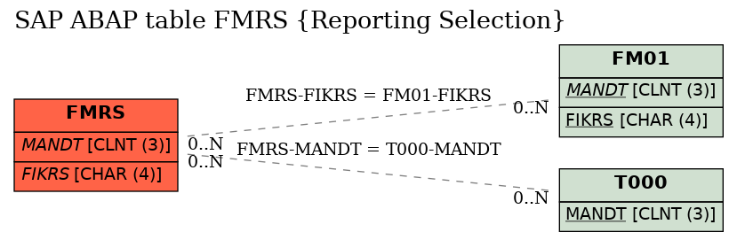 E-R Diagram for table FMRS (Reporting Selection)