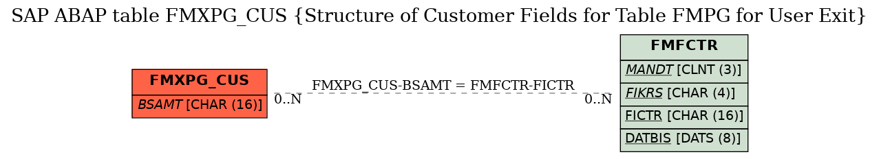 E-R Diagram for table FMXPG_CUS (Structure of Customer Fields for Table FMPG for User Exit)