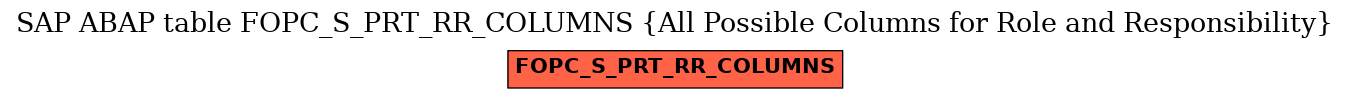 E-R Diagram for table FOPC_S_PRT_RR_COLUMNS (All Possible Columns for Role and Responsibility)