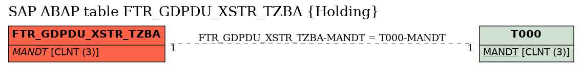 E-R Diagram for table FTR_GDPDU_XSTR_TZBA (Holding)