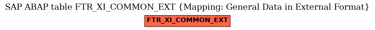 E-R Diagram for table FTR_XI_COMMON_EXT (Mapping: General Data in External Format)