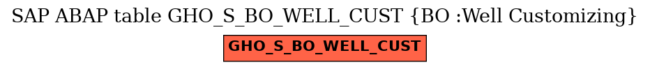 E-R Diagram for table GHO_S_BO_WELL_CUST (BO :Well Customizing)