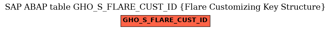 E-R Diagram for table GHO_S_FLARE_CUST_ID (Flare Customizing Key Structure)