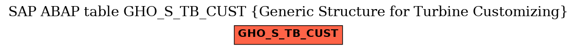 E-R Diagram for table GHO_S_TB_CUST (Generic Structure for Turbine Customizing)