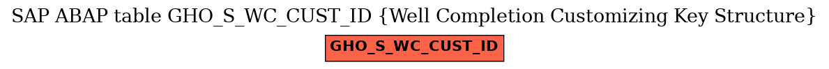 E-R Diagram for table GHO_S_WC_CUST_ID (Well Completion Customizing Key Structure)