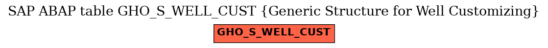 E-R Diagram for table GHO_S_WELL_CUST (Generic Structure for Well Customizing)