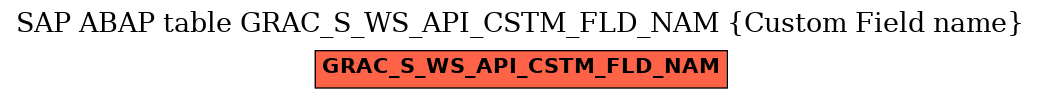 E-R Diagram for table GRAC_S_WS_API_CSTM_FLD_NAM (Custom Field name)