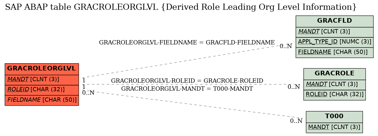 E-R Diagram for table GRACROLEORGLVL (Derived Role Leading Org Level Information)