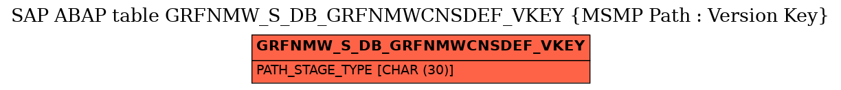 E-R Diagram for table GRFNMW_S_DB_GRFNMWCNSDEF_VKEY (MSMP Path : Version Key)